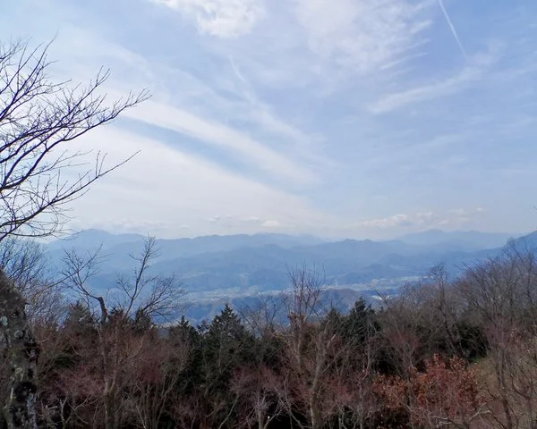 다운로드 (20).jpeg