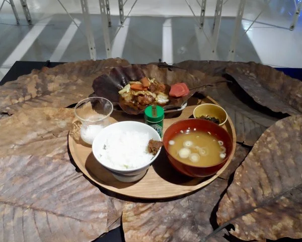 다운로드 (69).jpeg